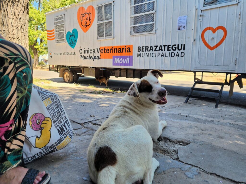 MÁS JORNADAS MUNICIPALES DE SALUD ANIMAL EN BERAZATEGUI 1