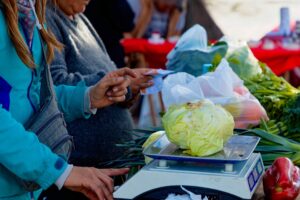 agroecológicas en Berazategui (4)