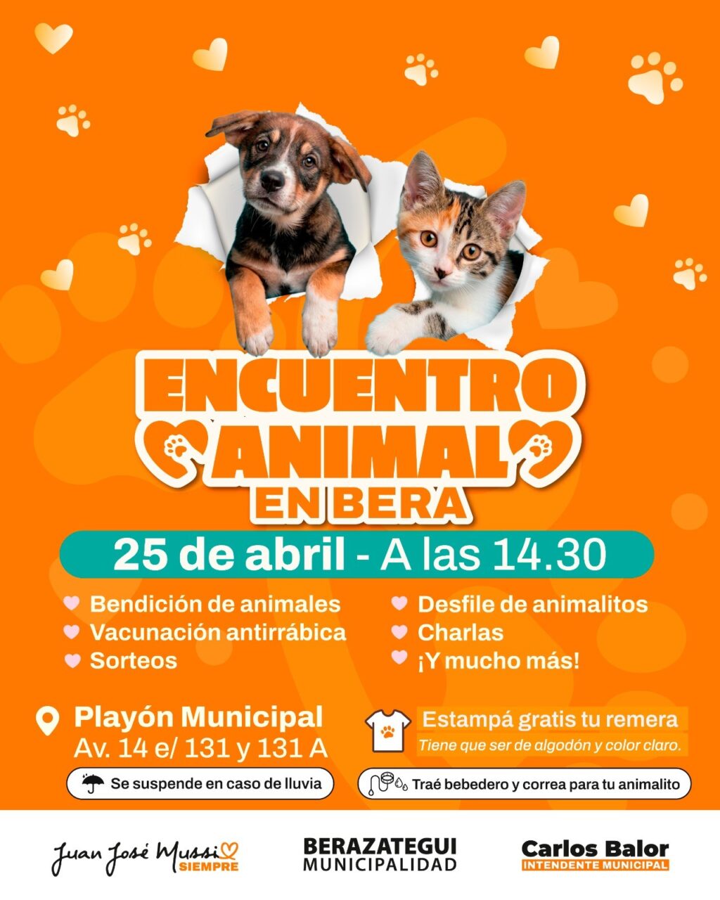 encuentro animal