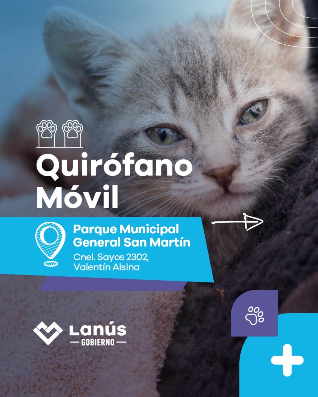 QUIR