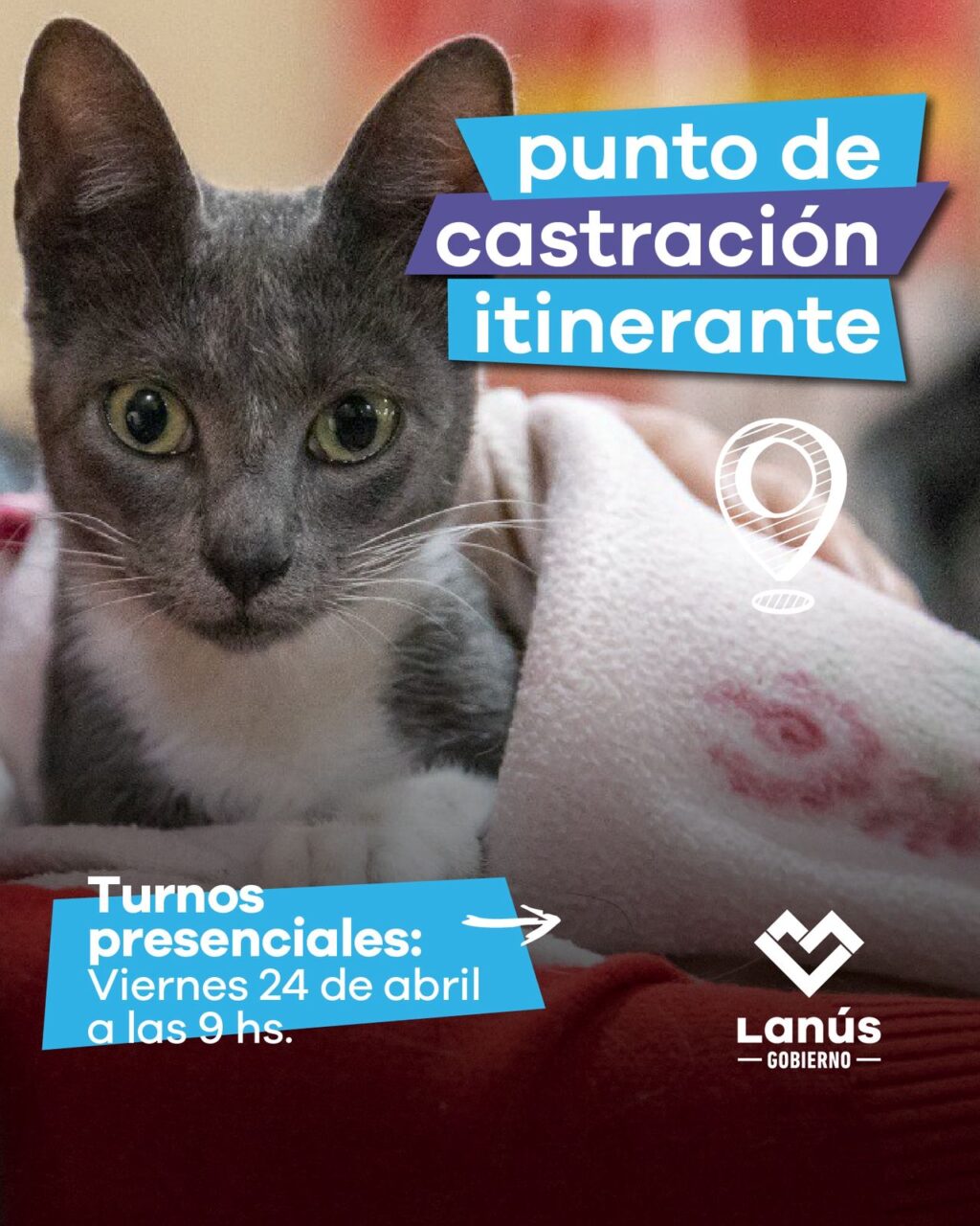 castración