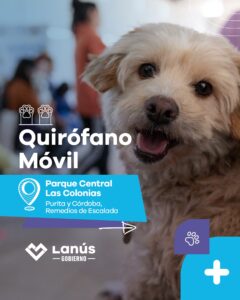 quirófano móvil