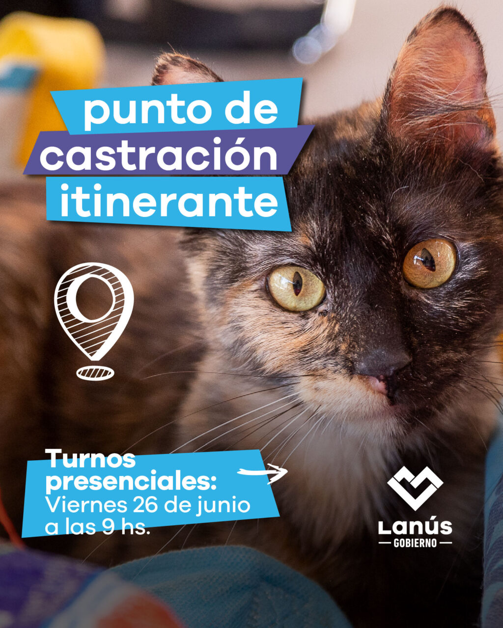 castracion