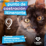 castracion