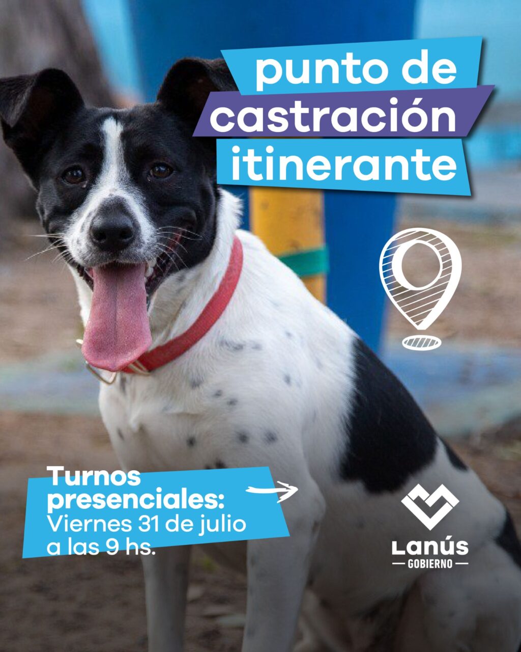castracionç