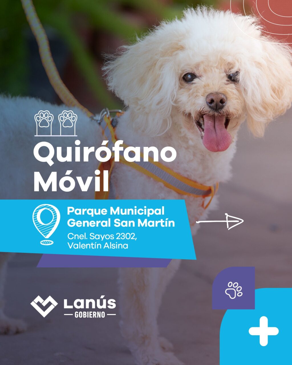 quirófano móvil