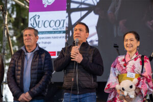matsuri domingo